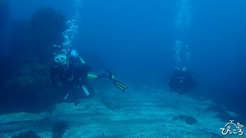 ゲストさん_P3130652