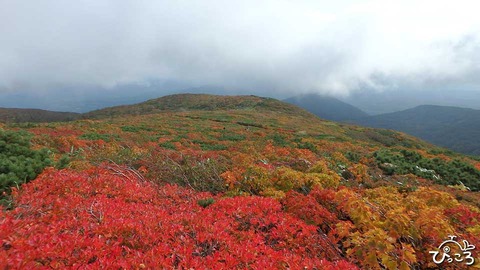 栗駒山の紅葉_P9290079