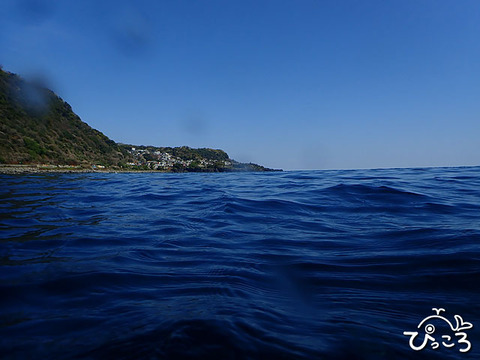 春らしい海でした
