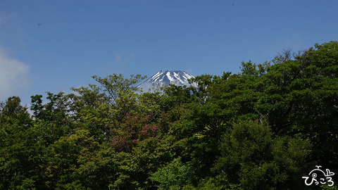 富士山_越前岳頂上にて