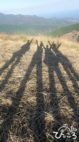 あしながーい_PB052868