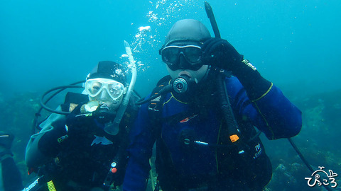 0320_ゲストさんP3200780