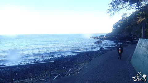 ヨコバマ_P1160270