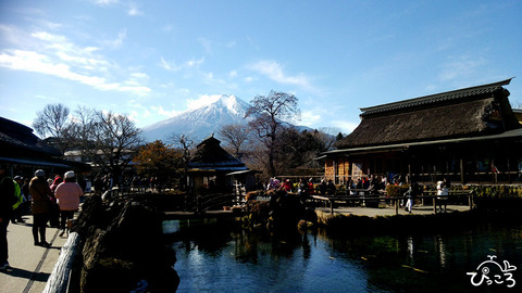 忍野八海からの富士山