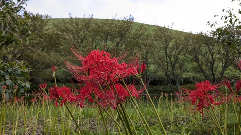 PXL_20240922_064443320