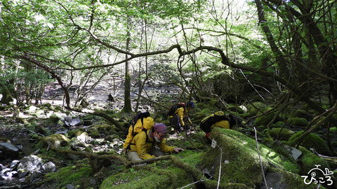 210502_矢筈山_DSCN3358