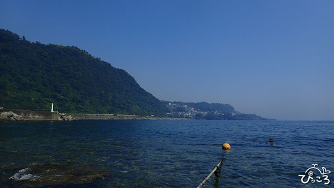 ヨコバマ_P8150001