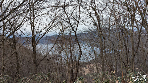 木立の向こうには本栖湖_2412