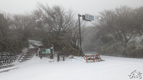 戸田峠_20240224