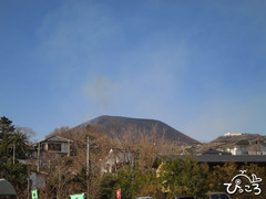 2013-2-10焦げました