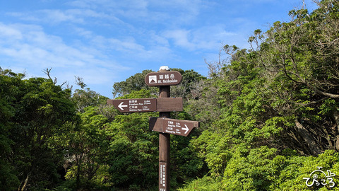 猫越岳_20250628_062637309