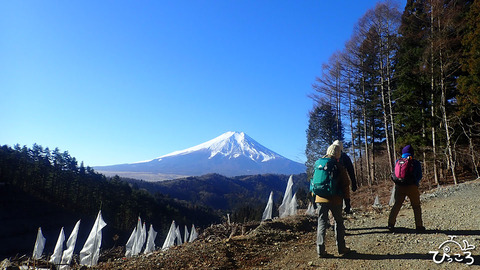 植林ネットと富士山_P1090298