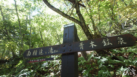 1008看板