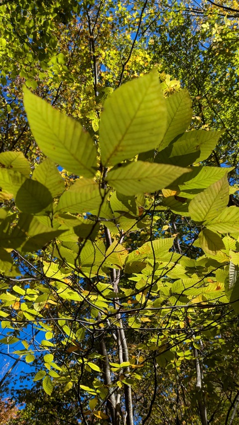 PXL_20251028_002412593