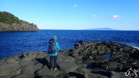 城ヶ崎海岸_230226