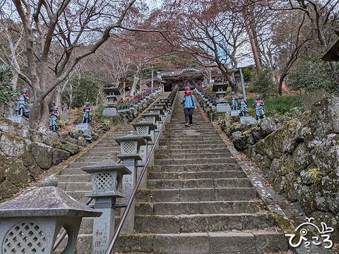 大山寺_20260131_060806754