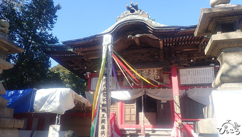 武山不動_P1260087