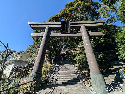 伊豆山神社_260204_043822113