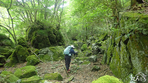 ゲストさん_P8221914