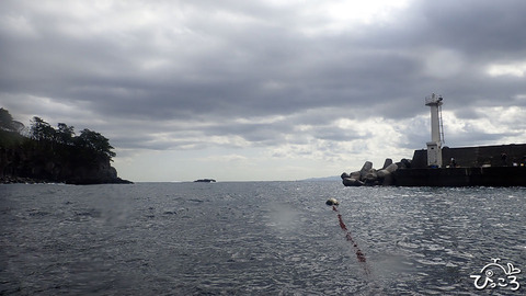 八幡野の海_P3200764