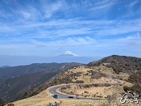 4月12日(日)達磨山&金冠山