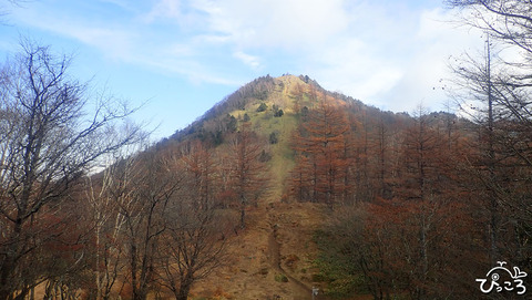 笠取山への急登_PB050417