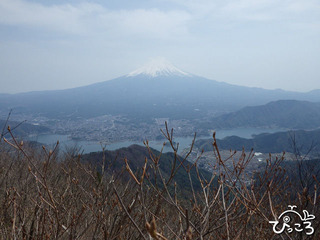 黒岳山頂より富士山