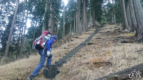 急登につけられた階段