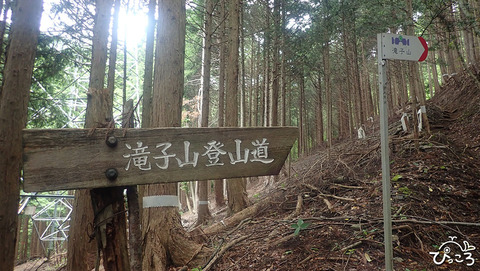 登山道_P6200207