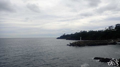 富戸の海_PA080662
