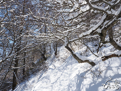 雪景色_O3080301
