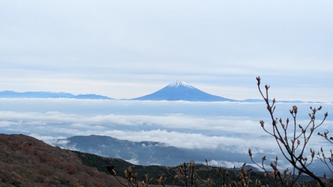 登山道パトロール＠天城