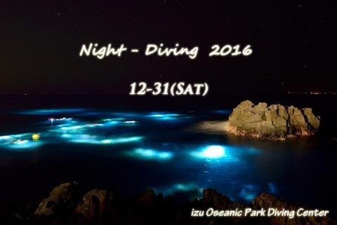 iop_nightdiving