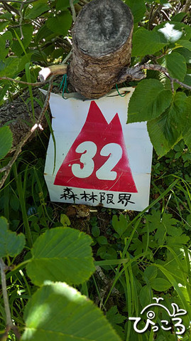 森林限界_025153069