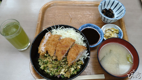 やたらカツ丼_20240204
