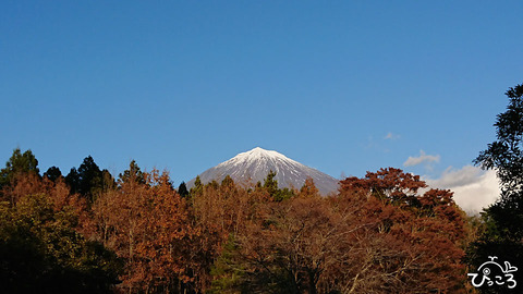 Fuji_DSC_9531