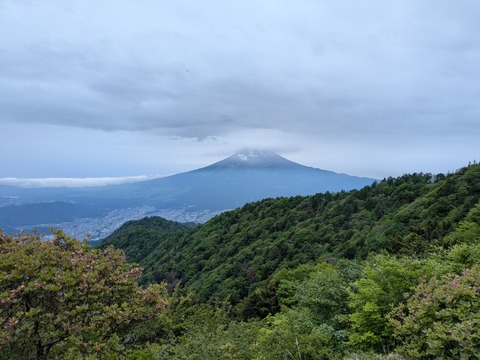 PXL_20260602_031652725
