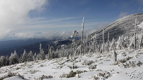 縞枯山_RX_05719