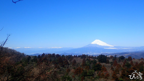 富士山_P2260757