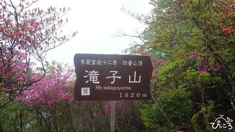6月21日(木)滝子山