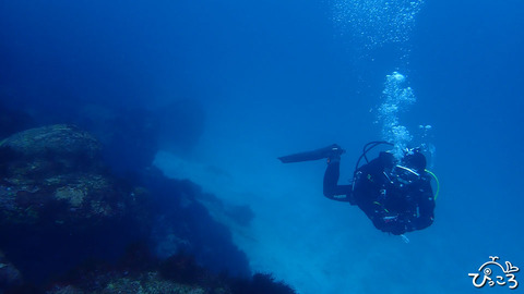 200222_ゲストさん