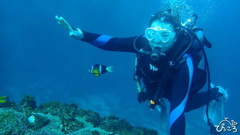 クマノミと一緒_PA120281