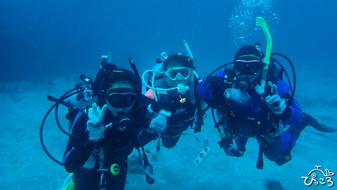 251103_guest_PB030910