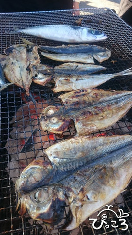 1125_お魚BBQ