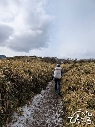 竜ヶ岳_241222_205203