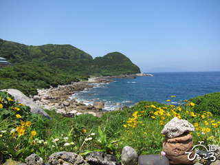 屋久島の海