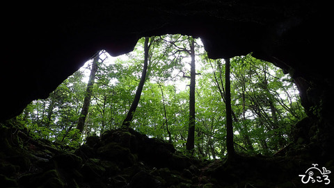 0624_洞窟内からみた森