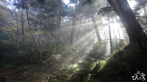 太陽の光_PA192456