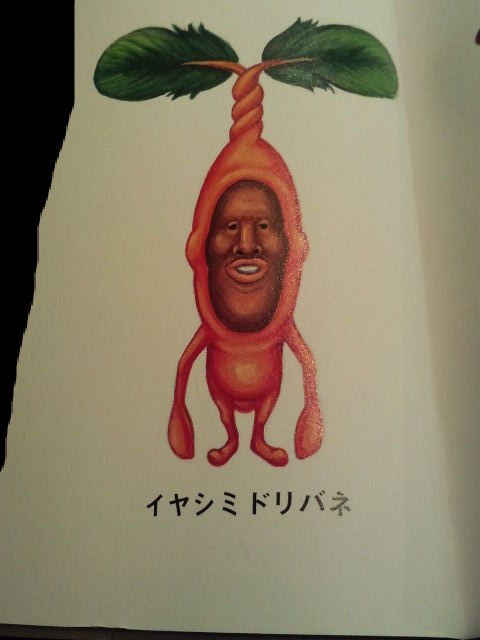 K ダンス S こびとづかん Kunikaoいろいろ日記