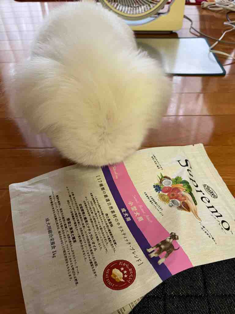 後ずさり Pikopikochobiのblog